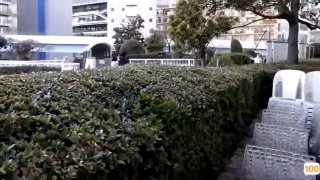 重生之跨国巨头红色丝袜